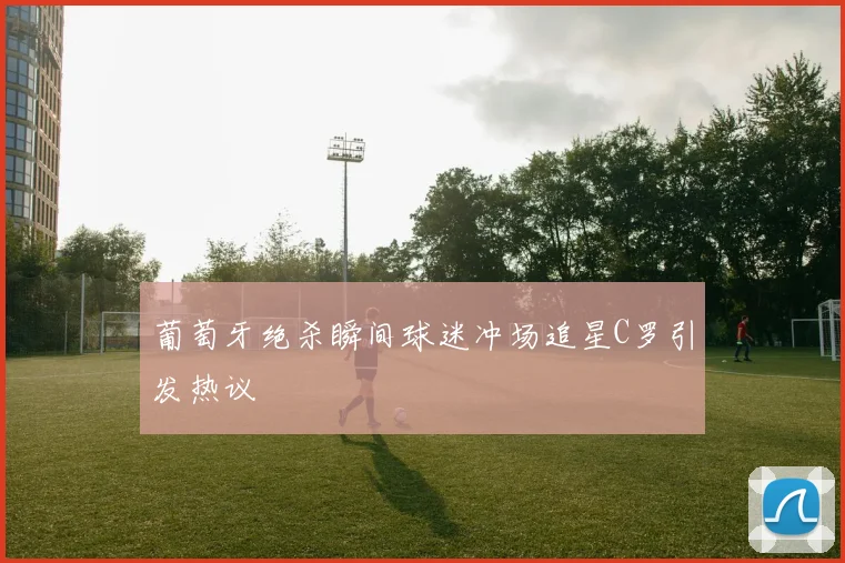葡萄牙绝杀瞬间球迷冲场追星C罗引发热议